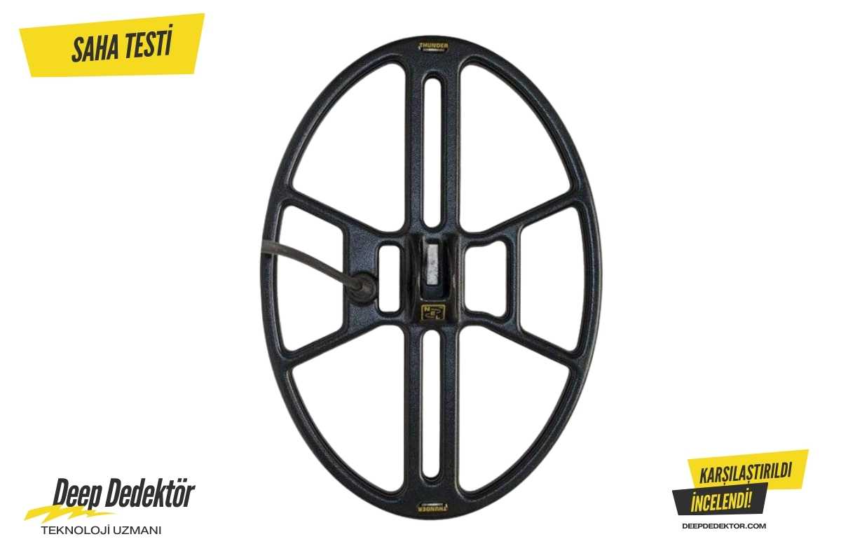 Nel Thunder 37x26 5cm Quest